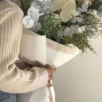 宠物妖怪ol手机版下载